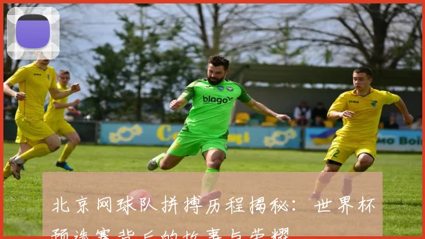 北京网球队拼搏历程揭秘：世界杯预选赛背后的故事与荣耀