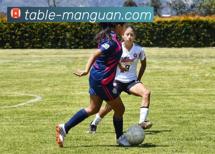 App Interface Preview